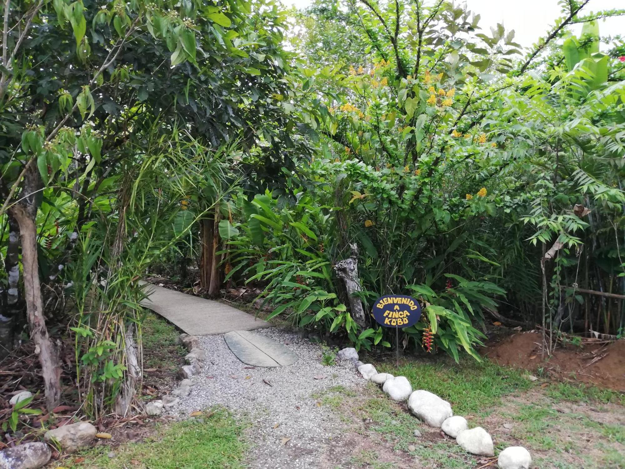 Finca Kobo Palo Seco Exterior foto